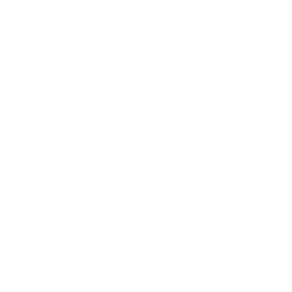 Paso 3: Carga y Transporte Seguro
